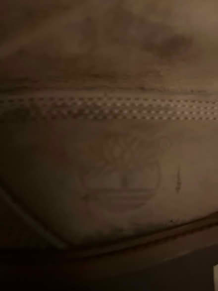 Photo of free Timberland books UK size 9 (Bristol BS7) #3