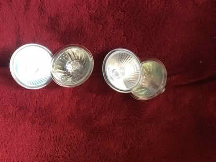 Photo of free Bulbs (Ruckhall HR2) #2