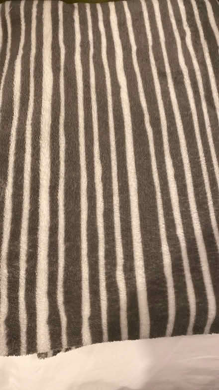 Photo of free Grey striped fleece throw (Alstone GL50) #1