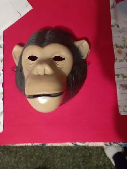 Photo of free Ape face mask (Top Amersham HP6) #1