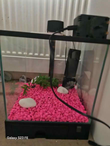 Photo of free Fish tank - small (IG6) #2