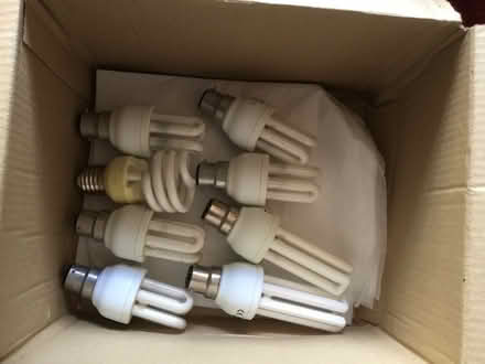 Photo of free Bulbs (Ruckhall HR2) #1