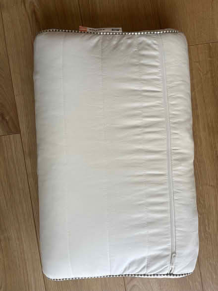 Photo of free Pillows (Houndean Bottom BN7) #3
