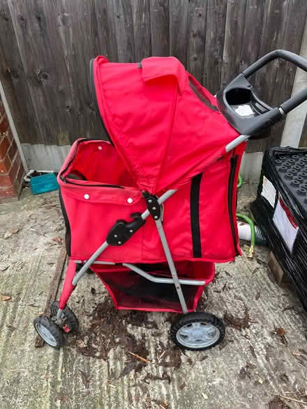 Photo of free Elderly dog selection incl pram (Salford 6 M6 8) #2