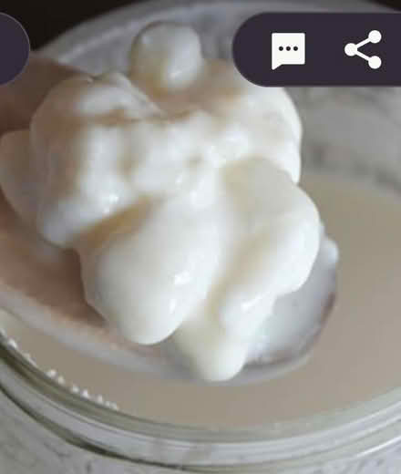 Photo of kaffir grains (GU3) #1