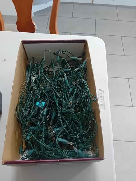 Photo of free Christmas Tree Lights (Cubbington CV32) #2