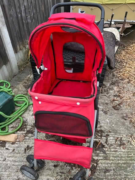 Photo of free Elderly dog selection incl pram (Salford 6 M6 8) #1