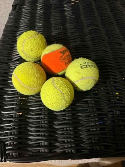Photo of free Tennis balls (Maidenhead SL6) #1