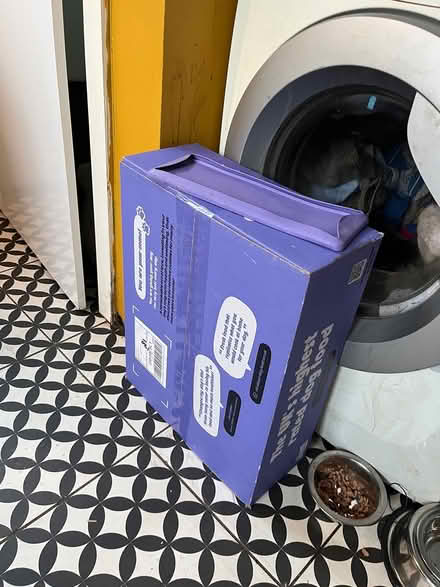 Photo of free Elderly dog selection incl pram (Salford 6 M6 8) #4