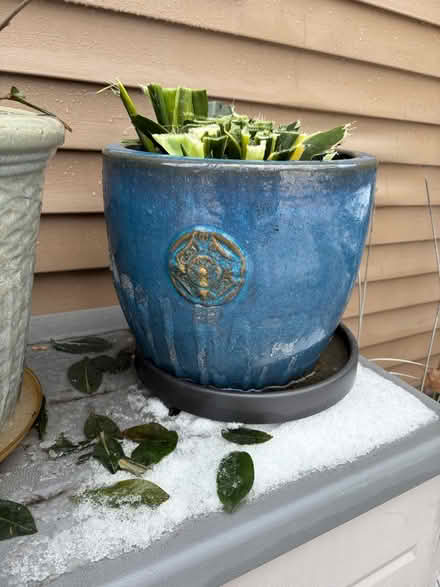 Photo of free Large Pots for Large Plants (Upper Stoney Cree) #1