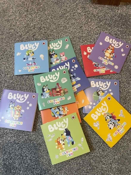 Photo of free Bluey colouring books (Sudbury CO10) #1