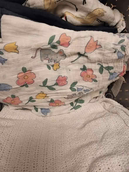 Photo of free Baby blankets and muslins (RG4) #3