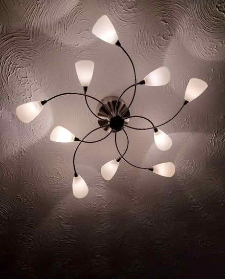 Photo of free Pair of ceiling lights (Tolleshunt D'Arcy CM9) #1