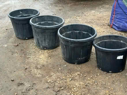 Photo of free Plastic Flower pots (CT5) #1