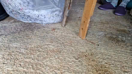 Photo of free Wobbly Shelving 🤣 (Bridge of Allan FK9) #2