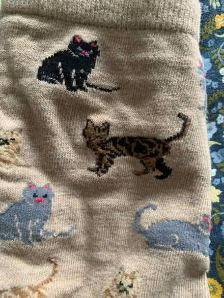 Photo of free Cat socks x3 (St. Clair & Victoria Park) #3