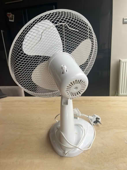 Photo of free Electric fan (cooling) (Heswall CH60) #3