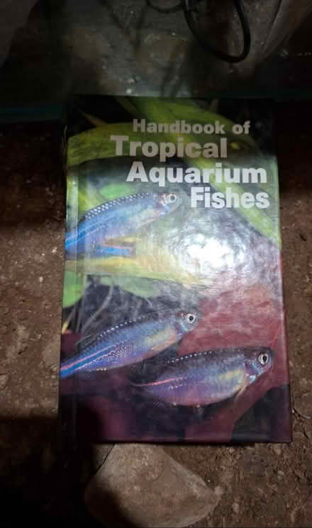 Photo of free Fish Tank (Kendal LA9) #3