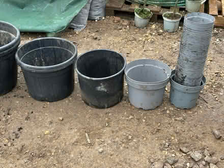 Photo of free Plastic Flower pots (CT5) #2