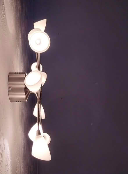 Photo of free Pair of ceiling lights (Tolleshunt D'Arcy CM9) #2