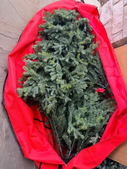 Photo of free Pre-lit artificial Xmas tree (hinsdale) #2