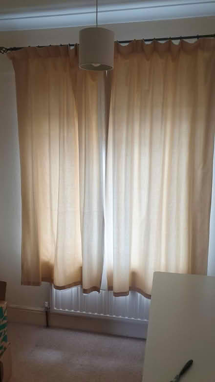 Photo of free Curtains, lined - pair (Paignton TQ3) #2