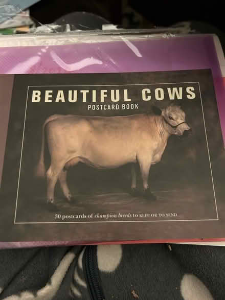 Photo of free Book of cow postcards (Malvern Link WR14) #1