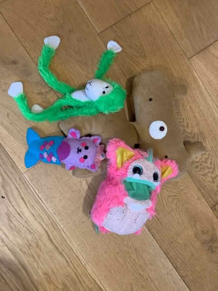 Photo of free Kids cuddlies (TW12 (Hampton)) #1