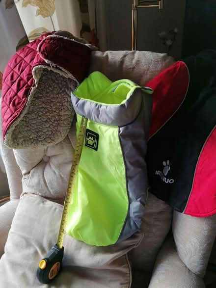 Photo of free Winter dog coats (Edinburgh EH10) #1