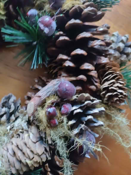 Photo of free Christmas wreath (California DE22) #3