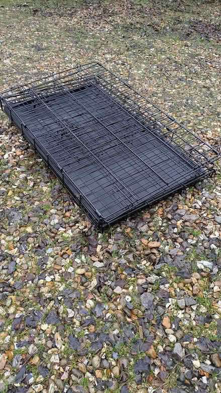 Photo of free Dog Crate for car/house (Watlington) #2