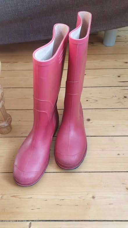 Photo of free Wellies size 3 (Paignton TQ3) #1