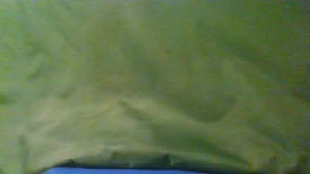 Photo of free dog mattress (Bath BA2) #1