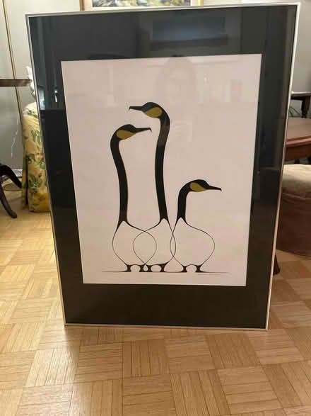 Photo of free framed print of geese (Midtown Toronto) #1