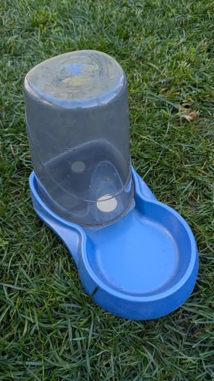 Photo of free Pet Waterer (Cuesta Park) #1
