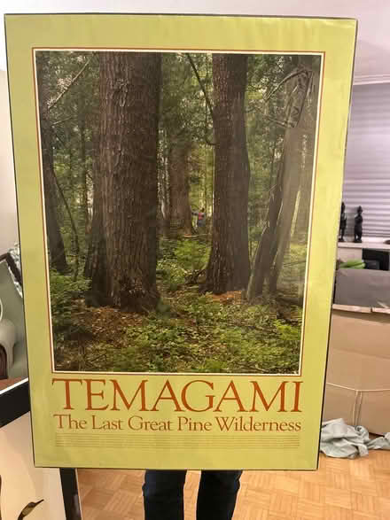 Photo of free Temagami poster, shrink wrapped (Midtown Toronto) #1