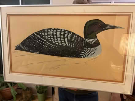 Photo of free framed print of loon (Midtown Toronto) #1
