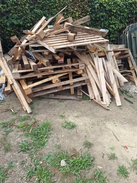 Photo of free Fire wood (S21) #1