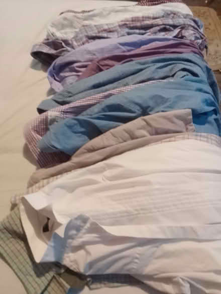 Photo of free Men shirts XL (South Norwood SE25) #1