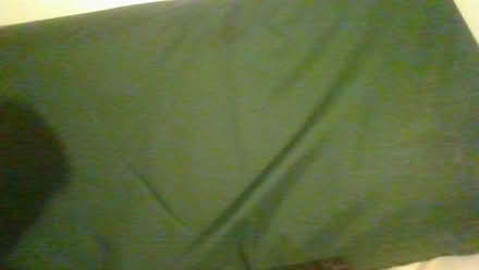 Photo of free dog mattress (Bath BA2) #3