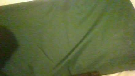 Photo of free dog mattress (Bath BA2) #4