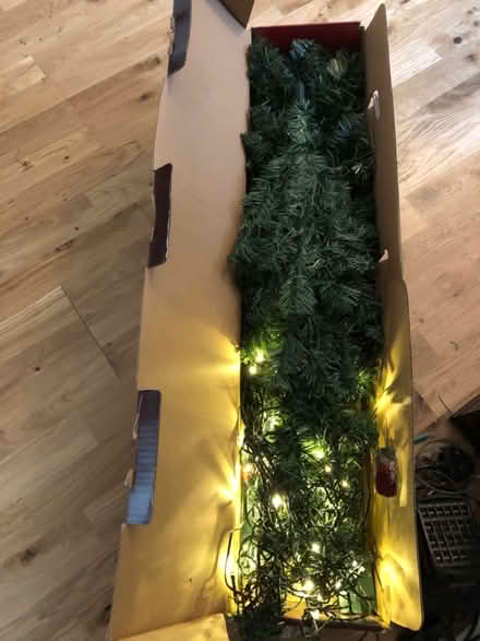 Photo of free Christmas tree (Potters bar) #2
