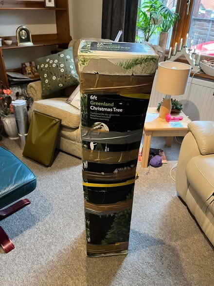 Photo of free Christmas Tree (CO11) #1