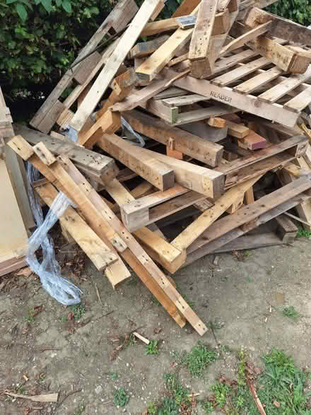 Photo of free Fire wood (S21) #2