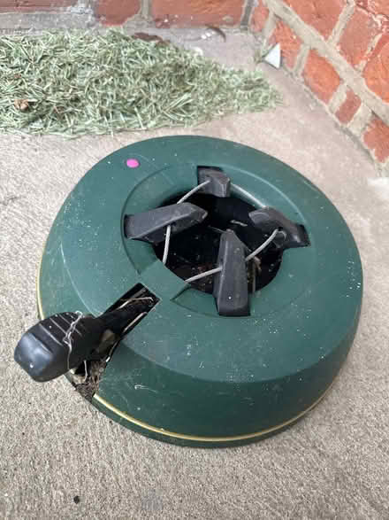 Photo of free Christmas Tree Bass (N4) #2