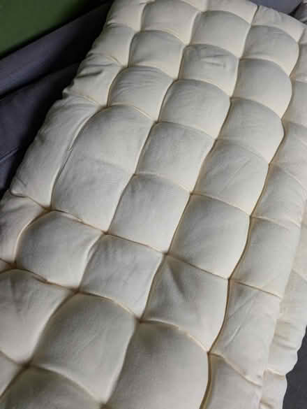 Photo of free 2 window seat cushions (Hove) #3