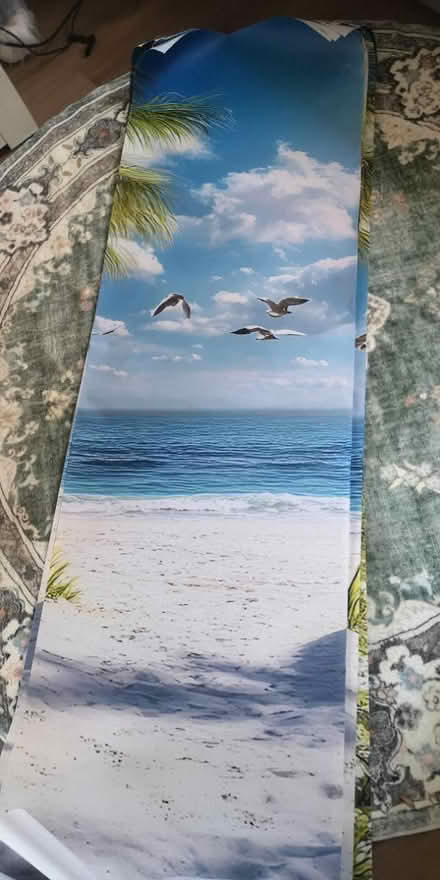 Photo of free Wall mural (Foxhill S6) #2