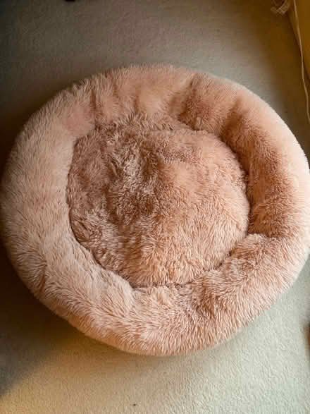 Photo of free Dog bed (NE side of Ann Arbor) #1