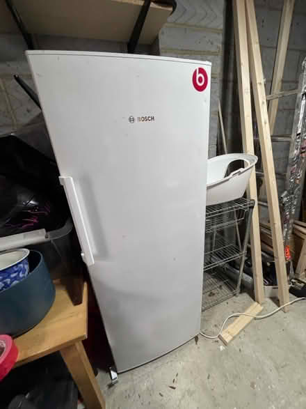 Photo of free Tall Freezer (Putney SW15) #1