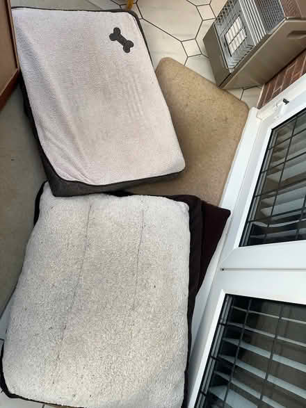 Photo of free 2 med/large dog beds (Long eaton NG10) #1
